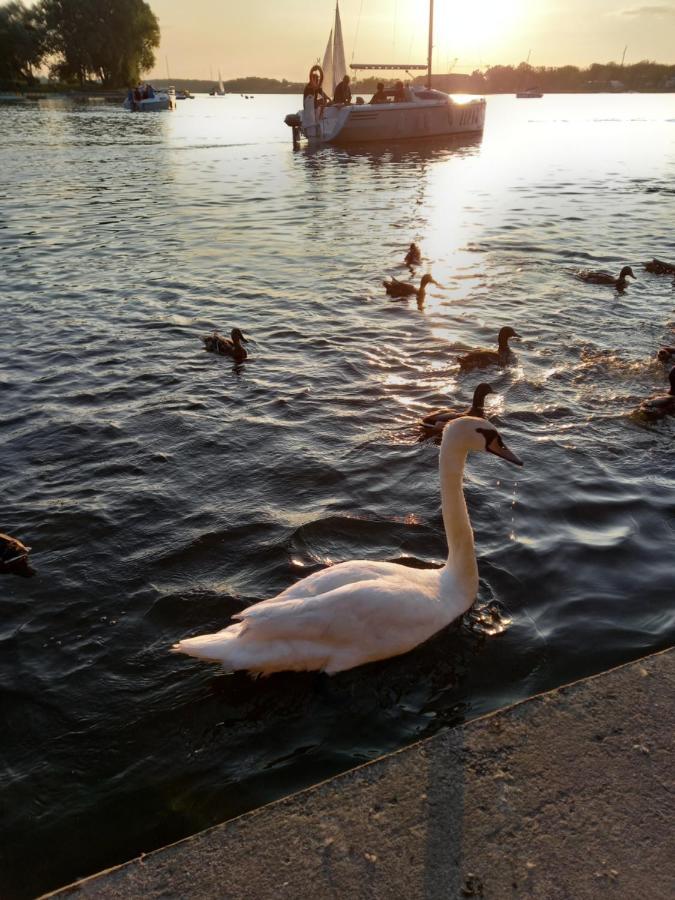 Domek Letniskowy Ostroda Arizona Dış mekan fotoğraf